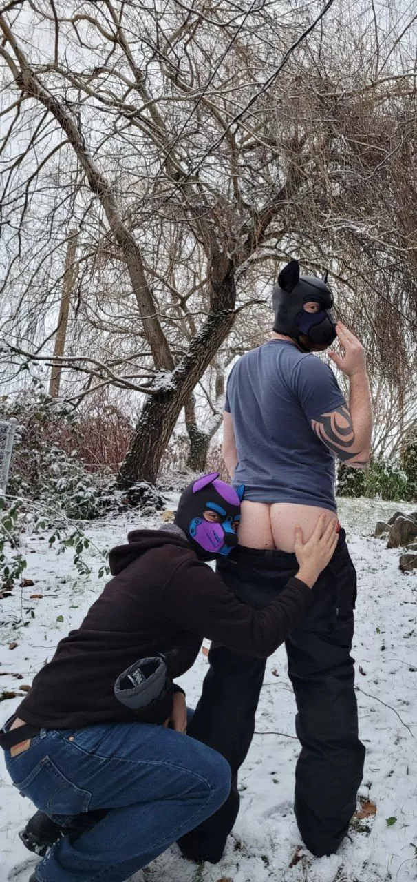 Snow Day Snow Day Snow Day Snow Day! 🐺