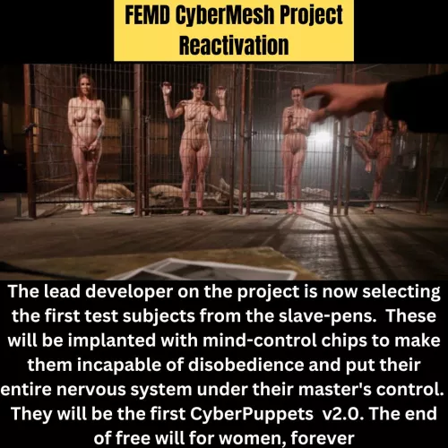 The MeshLab has reopened under new safeguards and over Col Hamill's objections.