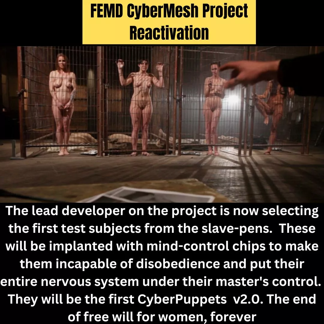 The MeshLab has reopened under new safeguards and over Col Hamill's objections.