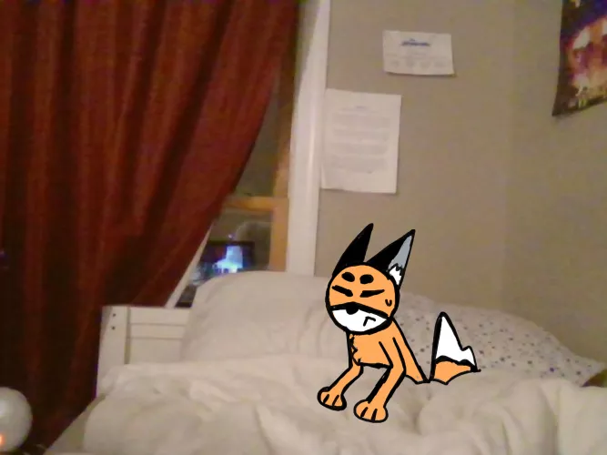 This is Red and he woke me up at 4:00 AM to ask if I could get him some water. Comment if you would or wouldn't and why!