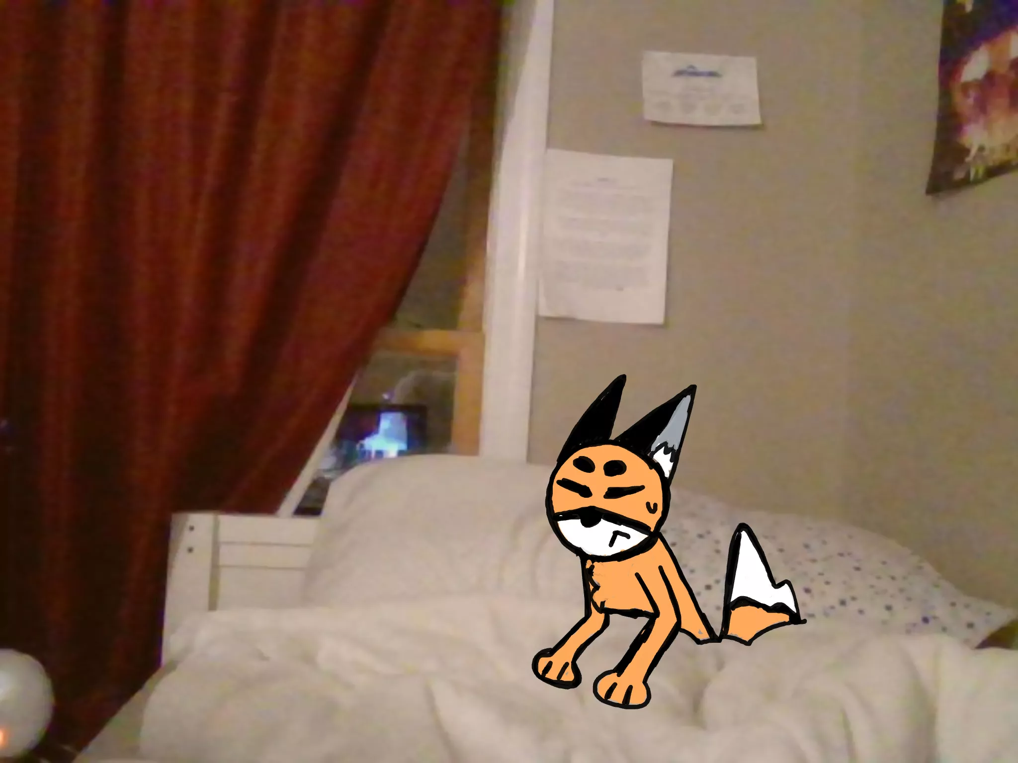 This is Red and he woke me up at 4:00 AM to ask if I could get him some water. Comment if you would or wouldn't and why!