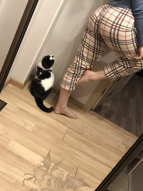 Wanna play with my kitty?