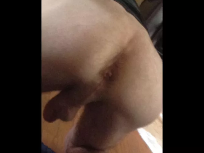 What do y’all think?