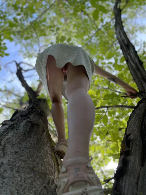 Words Cannot Describe