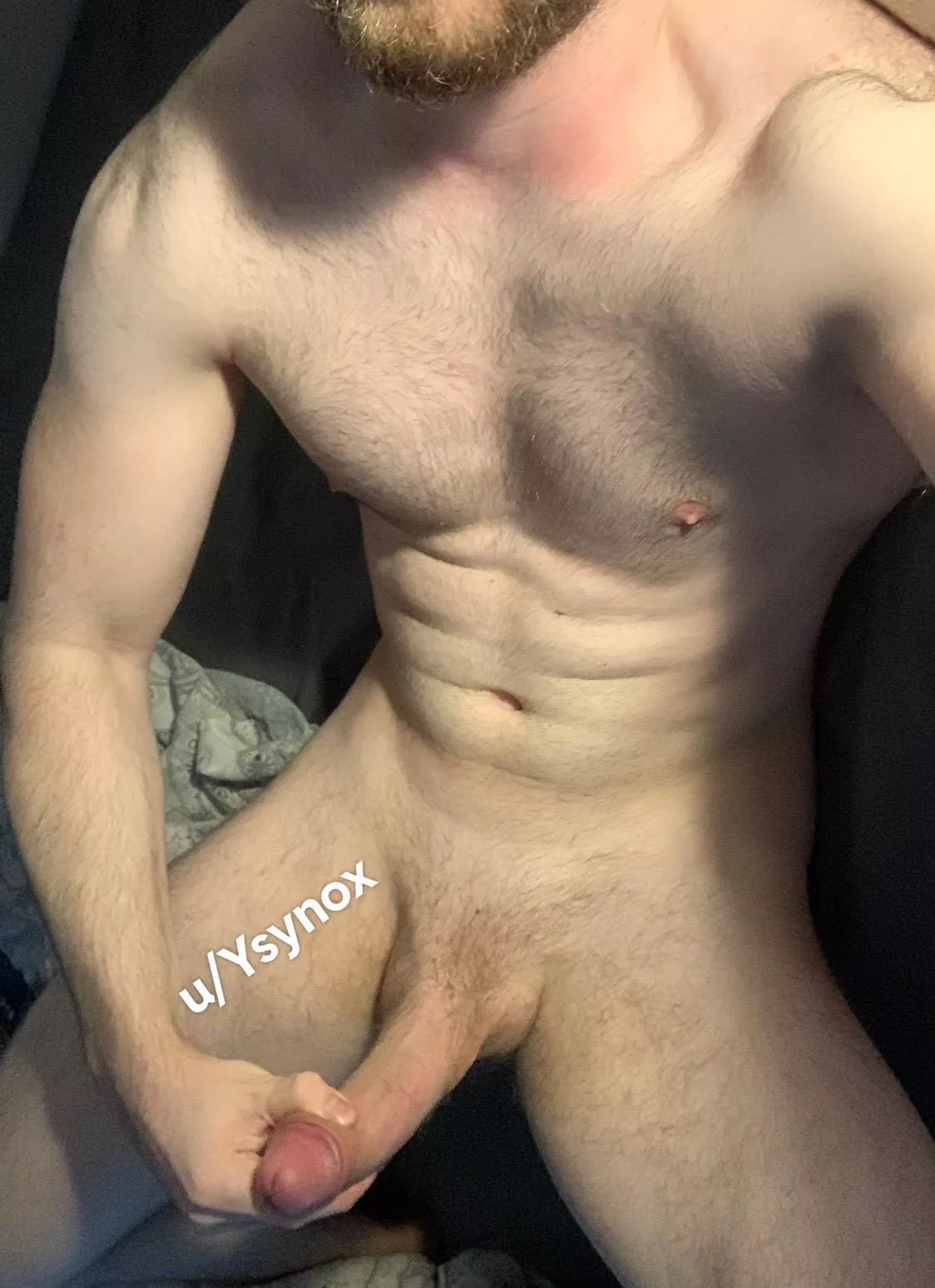 Would you let a hung 26 year old german breed you?