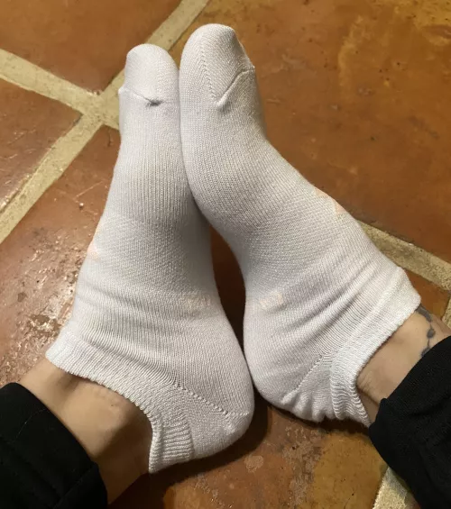 Would you like me to get these super sweaty and smelly for you ? [selling] [us]