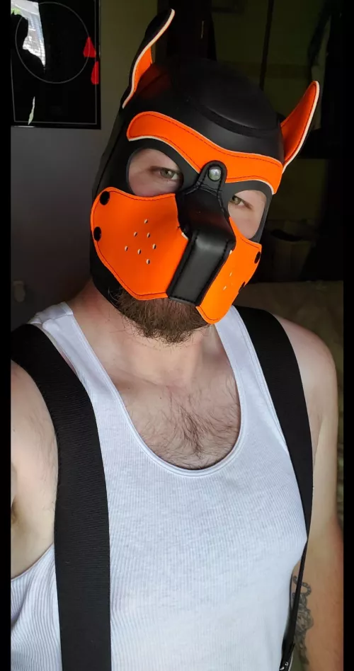 Wruff! Hi pups! Seeing if this is a good place to express my pup side after leaving Twitter.