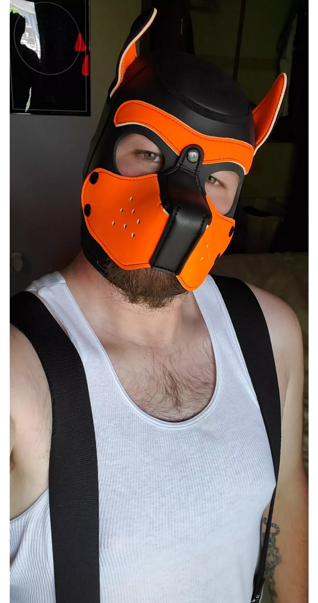 Wruff! Hi pups! Seeing if this is a good place to express my pup side after leaving Twitter.