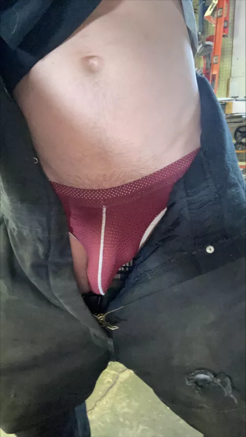 About to play in the snow