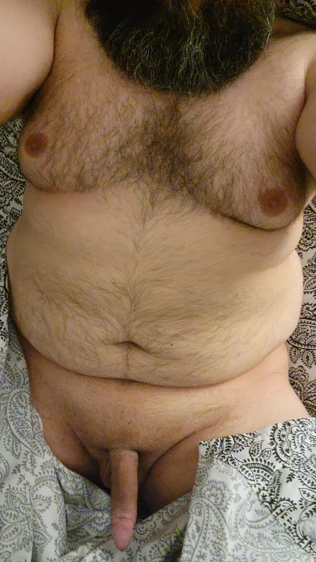 anyone into a bearded chubby dad?