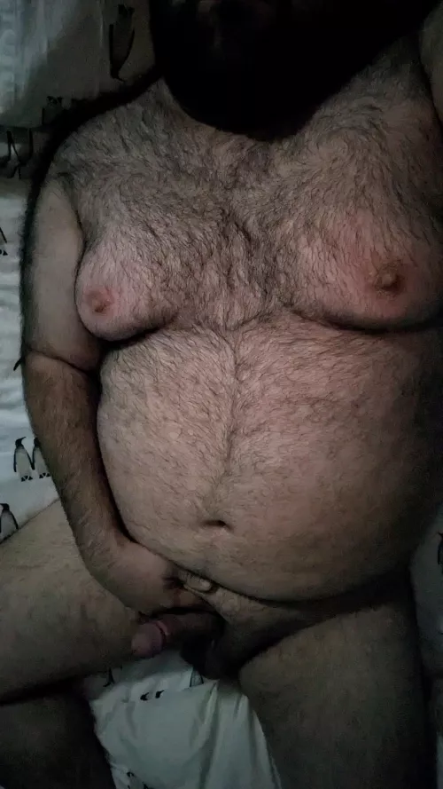 Can I be your Christmas gift this year?