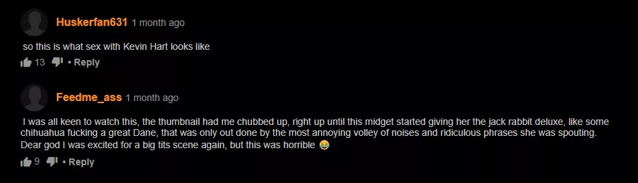 Chihuahua vs Great Dane