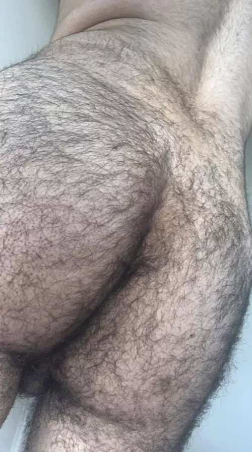 Come explore my forest