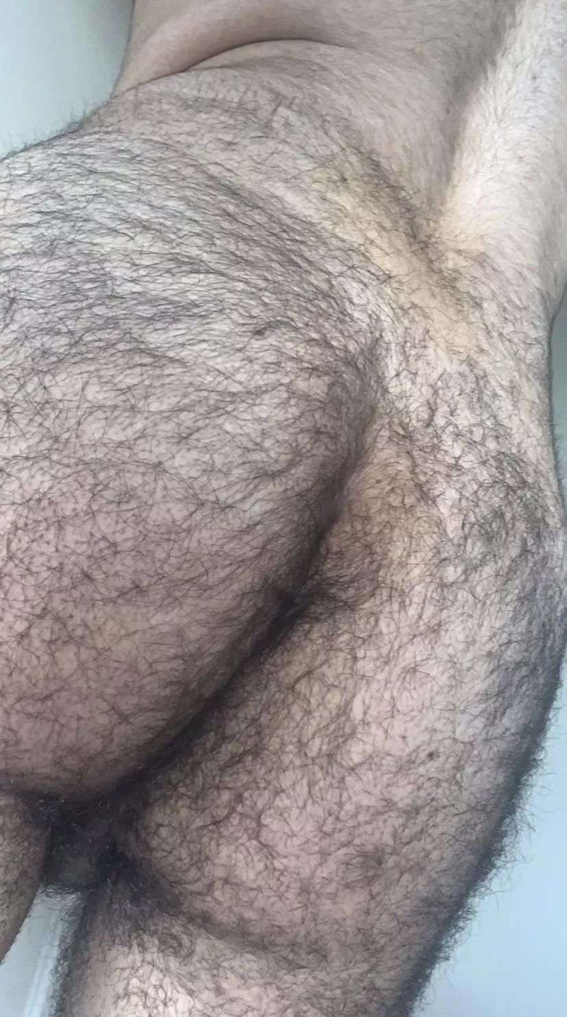 Come explore my forest