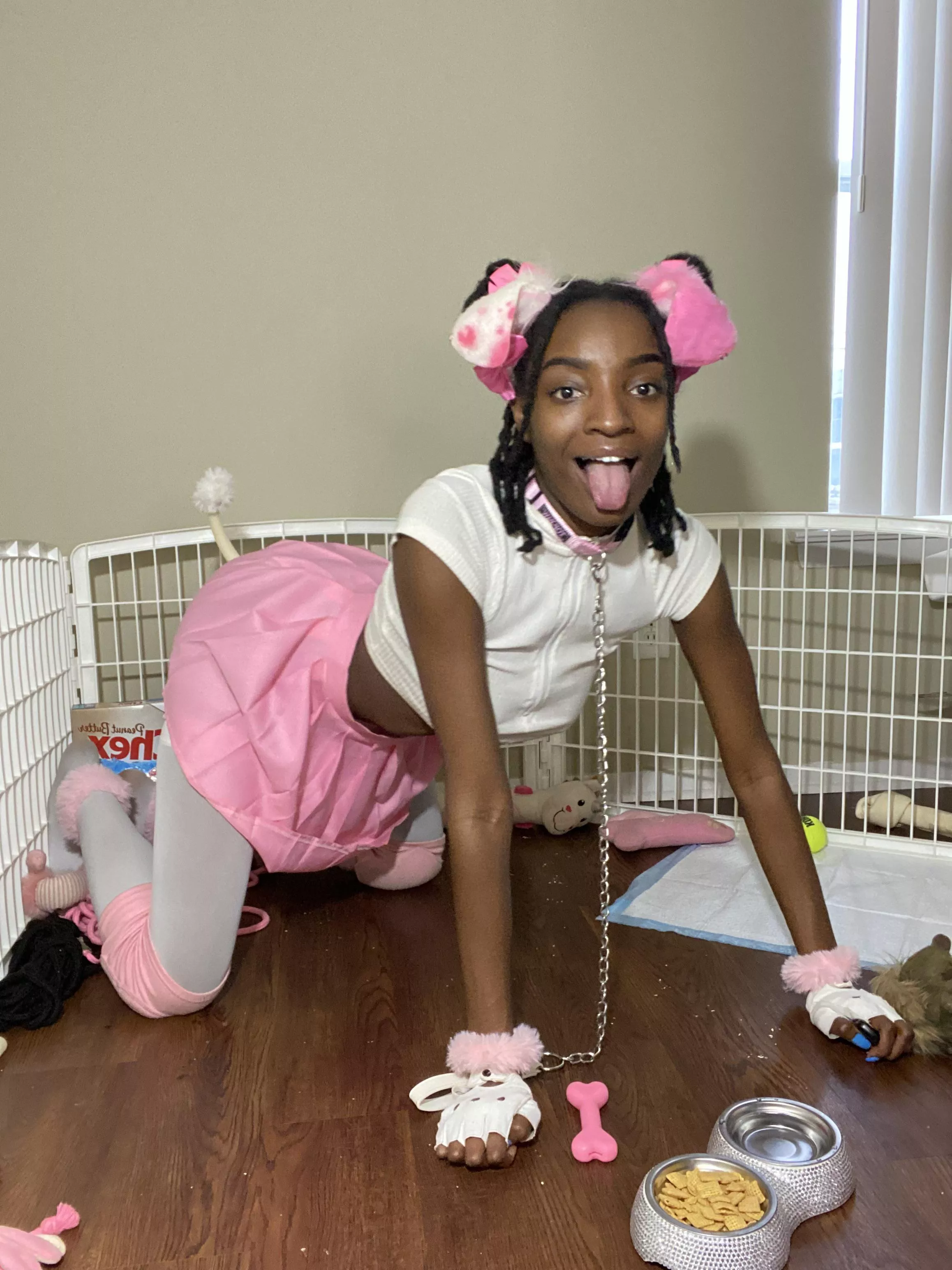 Did you say treat master?!?!🐾😱