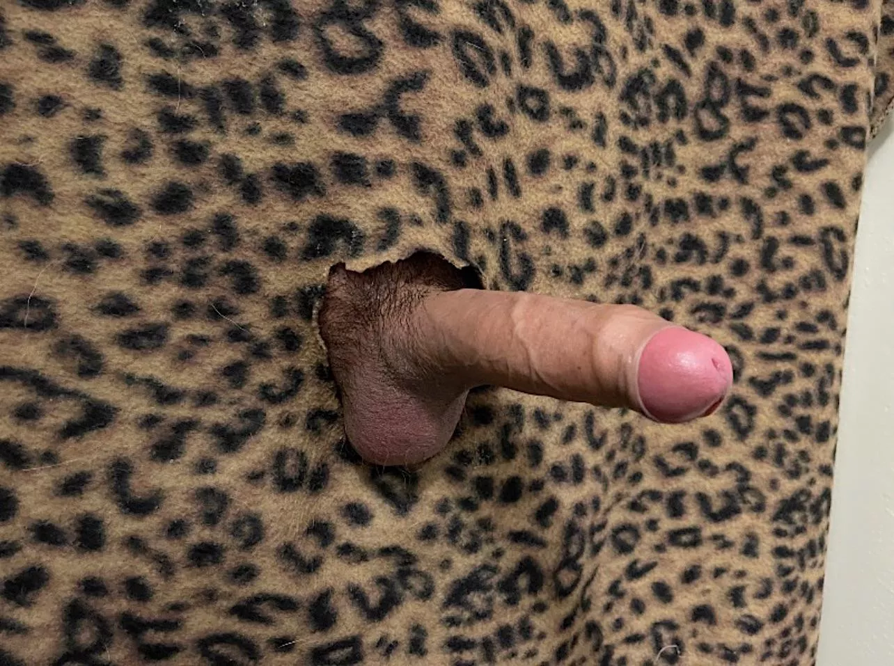 Fallbrook, CA • GH open to all • private home • HMU and I’ll set up just for you • Marines to the front • Near Oceanside, Camp Pendleton, Temecula, Vista, Escondido • All dicks welcome