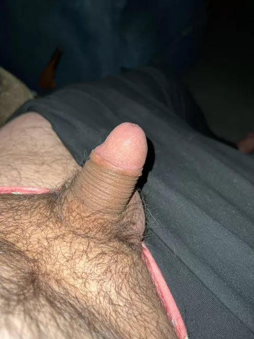 Grower not a shower. Looks small but just you wait :)