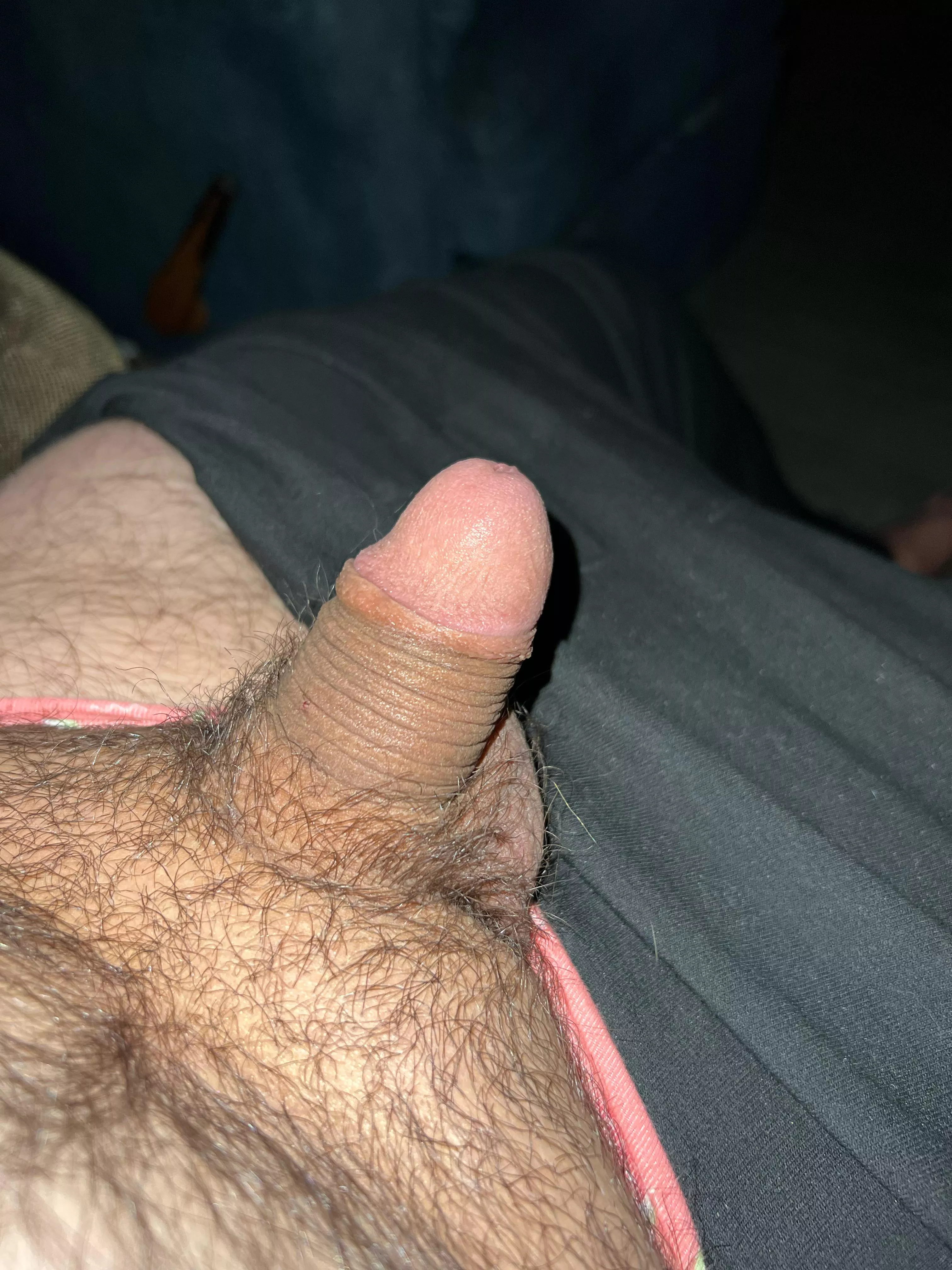 Grower not a shower. Looks small but just you wait :)