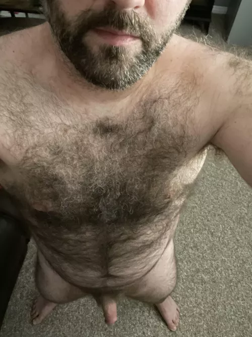 Hairy enough? [40]