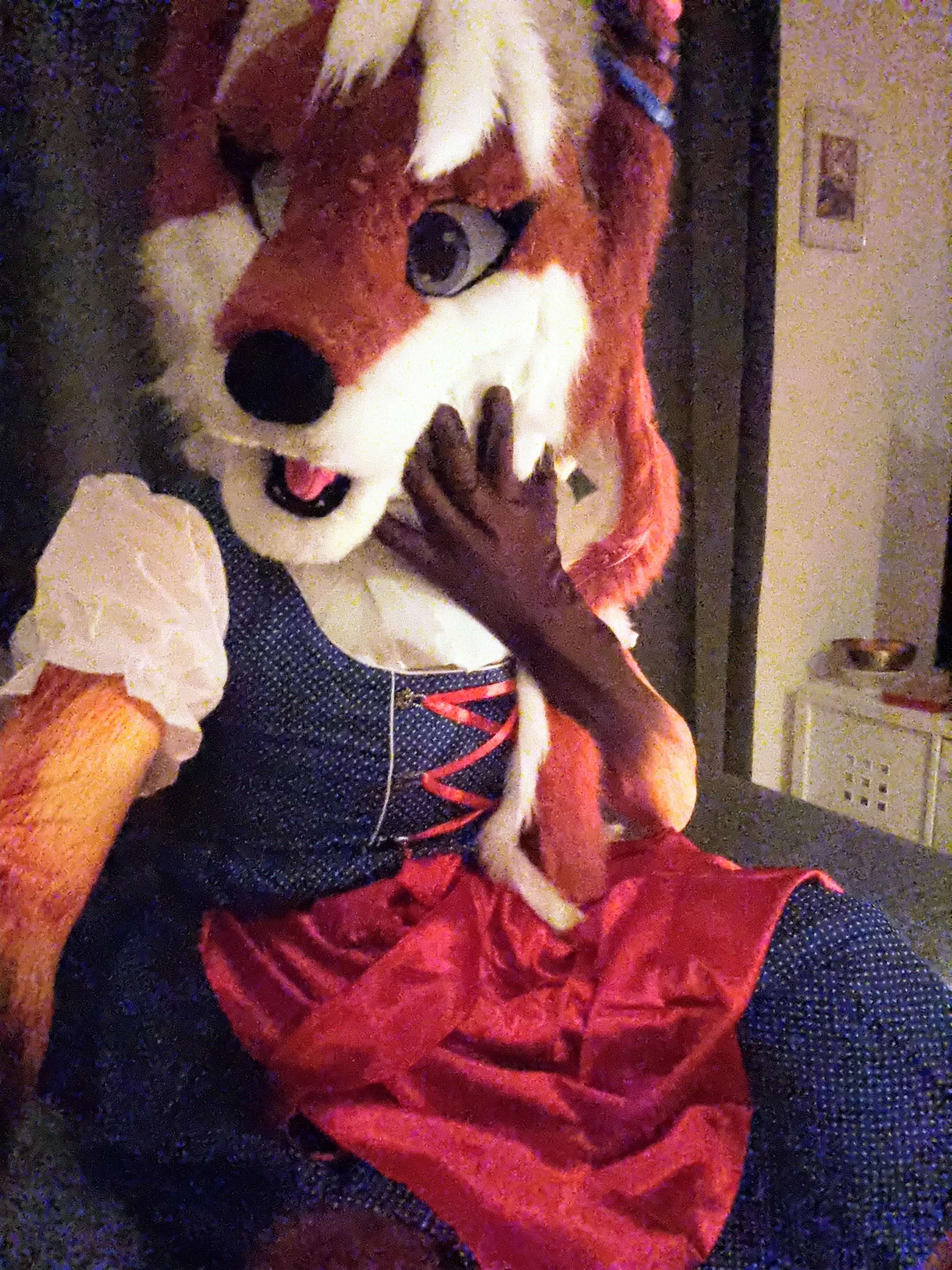 Holiday Greetings from Bavaria