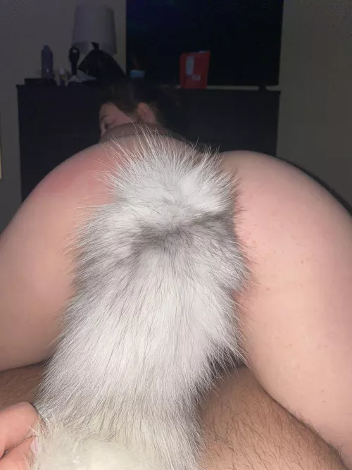 How about a real life tail 😘