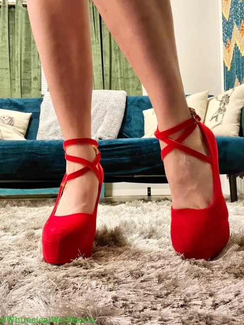 I’m absolutely in love with these heels!