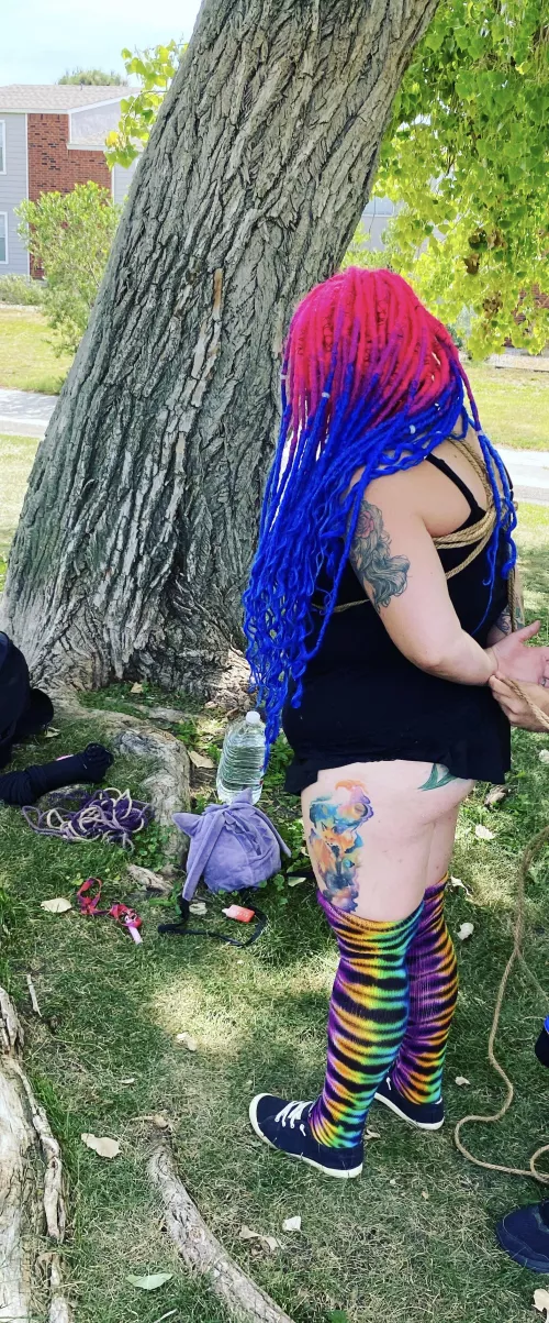 In the park getting tied up