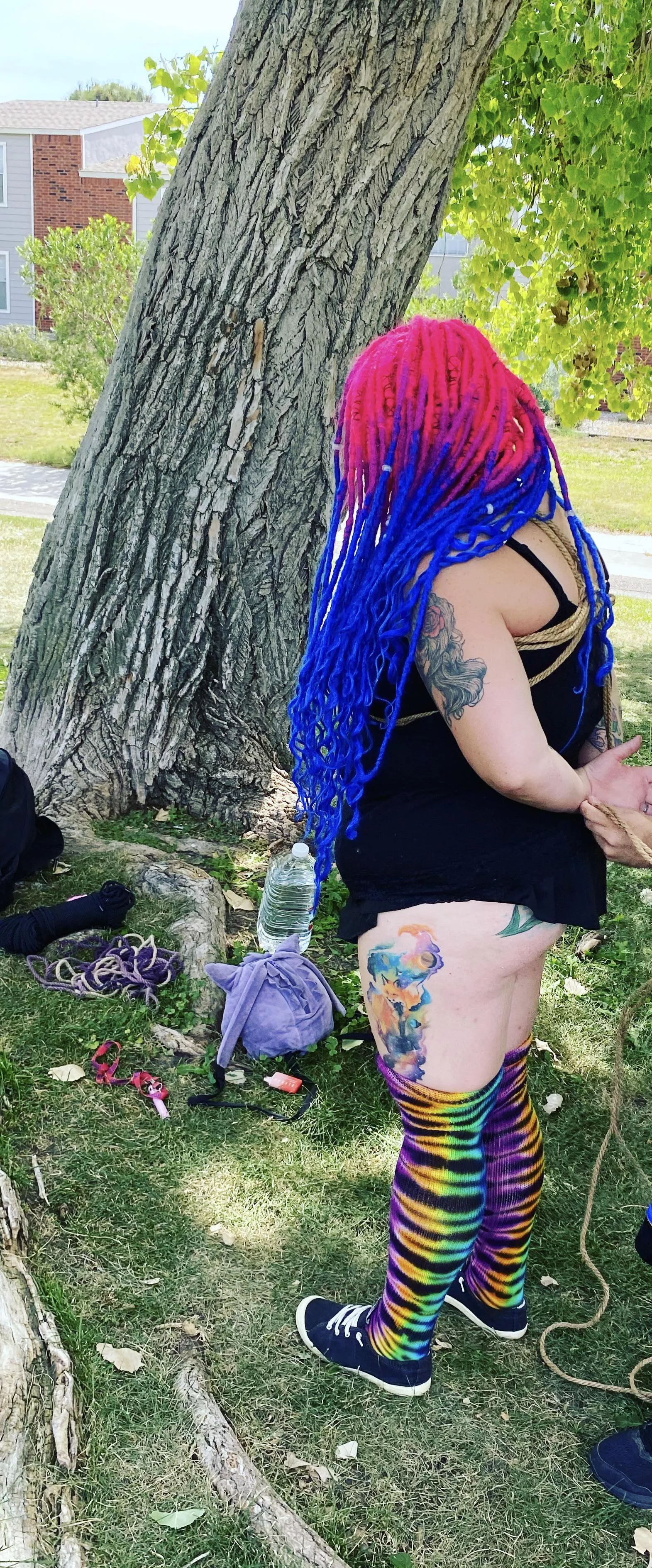 In the park getting tied up