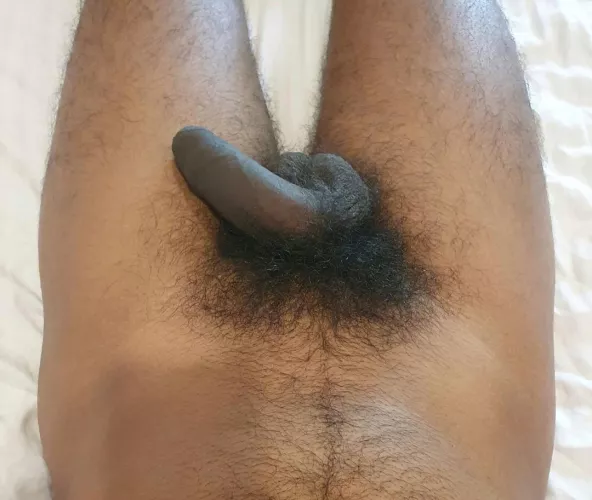 Male pubes