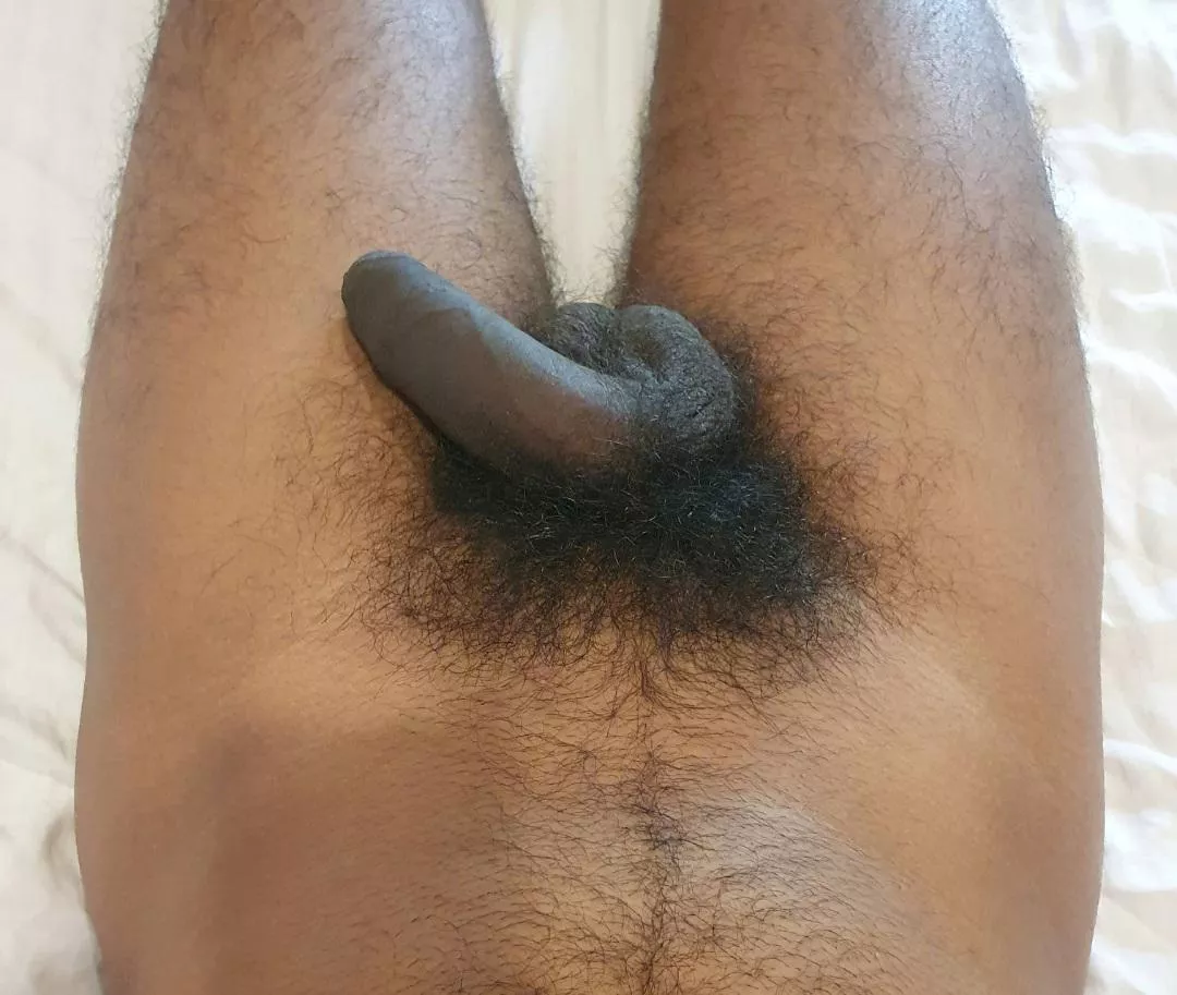 Male pubes
