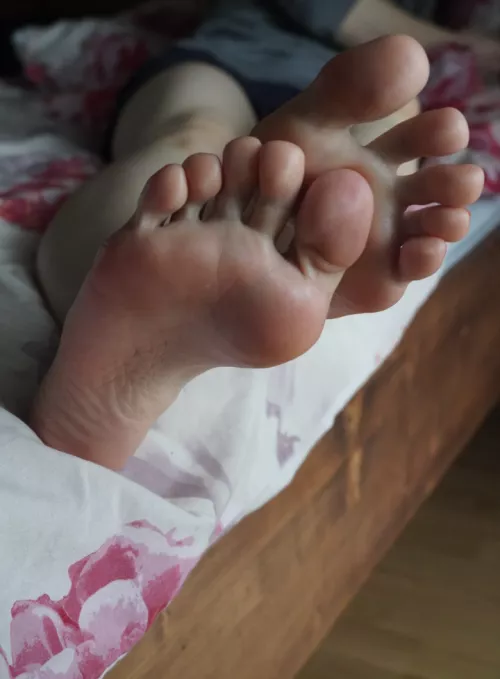 my cute paws are all red from the cold