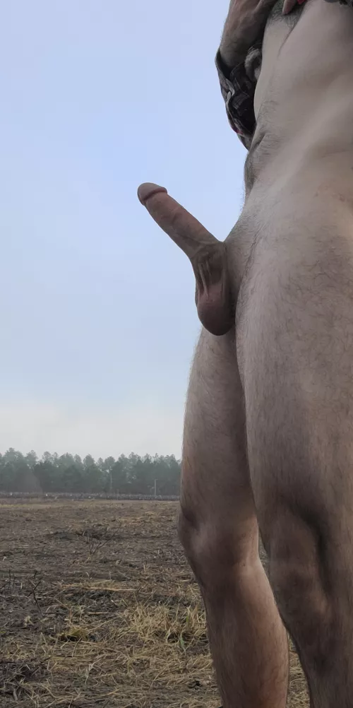 need a good bottom to use in my field