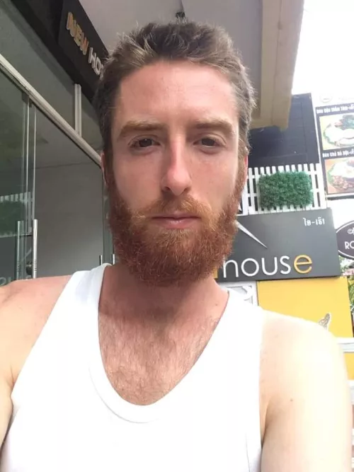 Need some Christmas cuddles