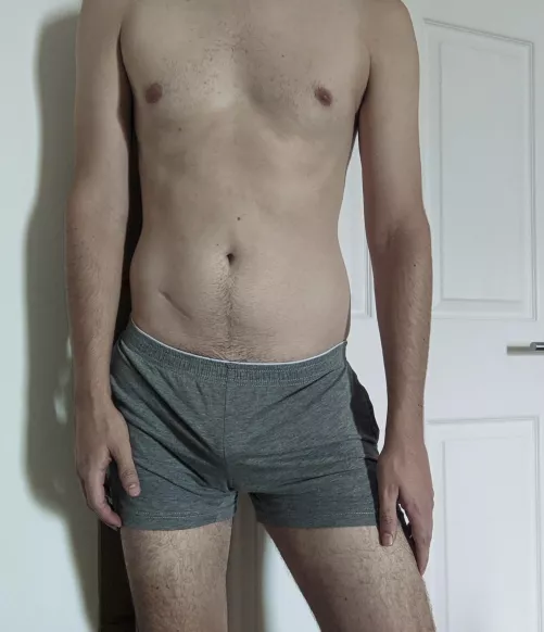 new grey boxers