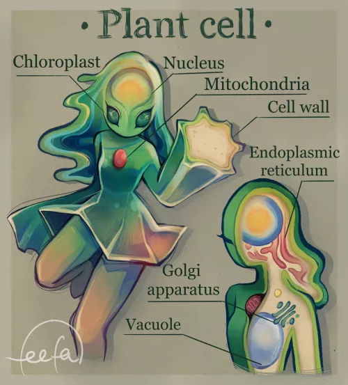 Plant Cell Girl (feefal_)