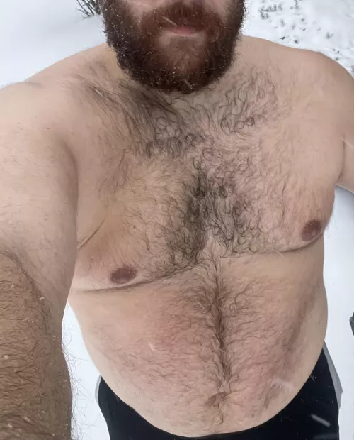 polar bear cooling down outside in the snow after a workout