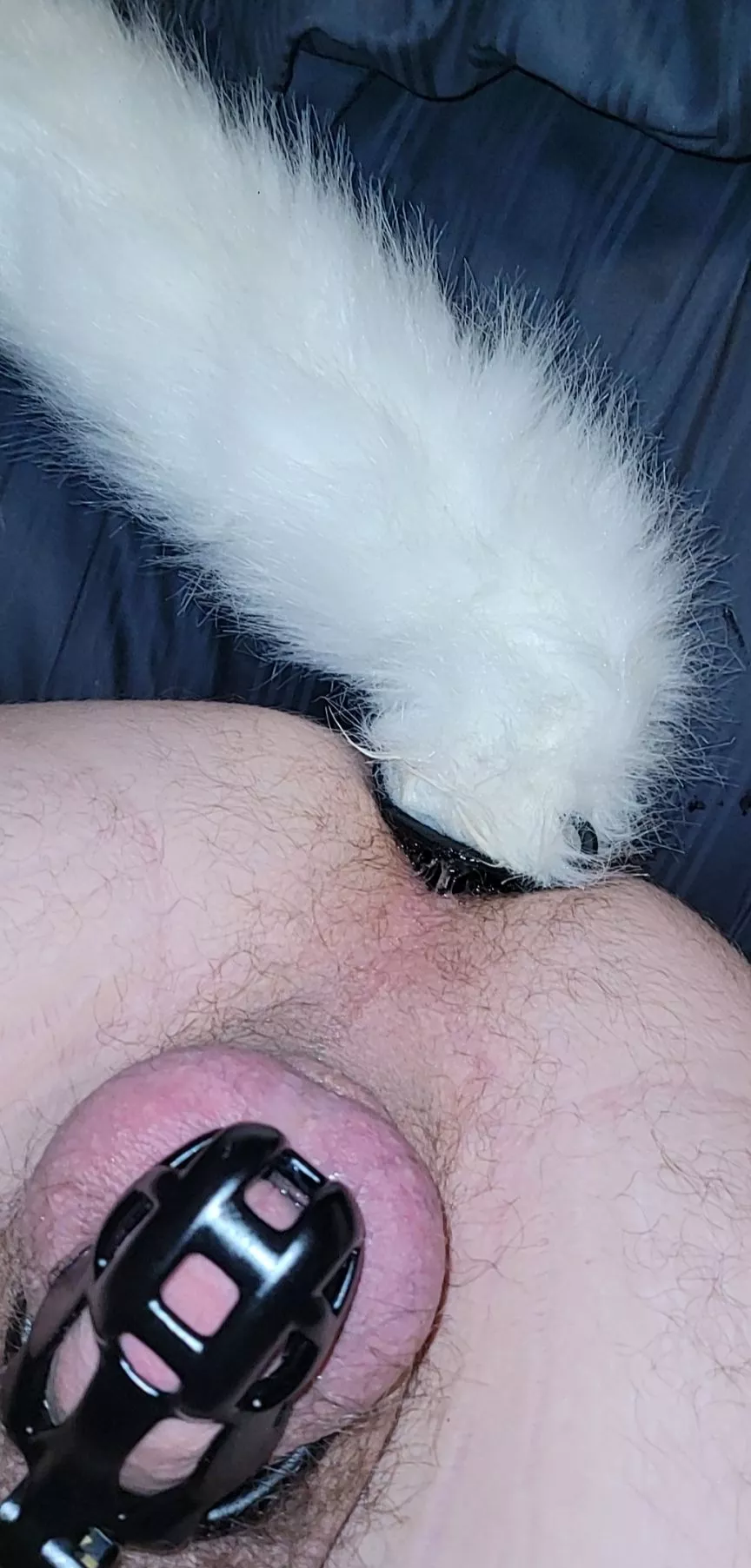 pup Amera loved the attention he got last time, so enjoy this one