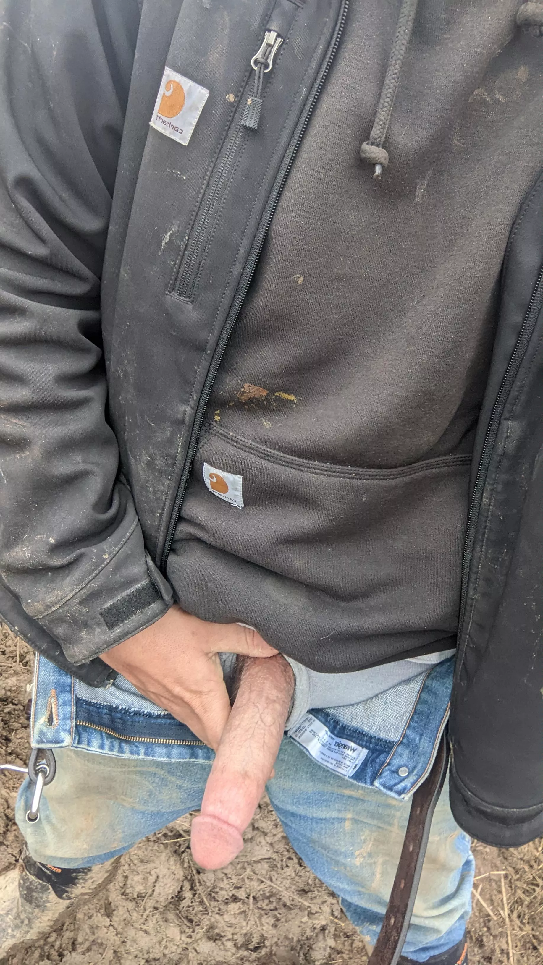 Rate this farmer cock!