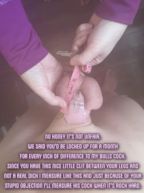 Seems more than fair to me