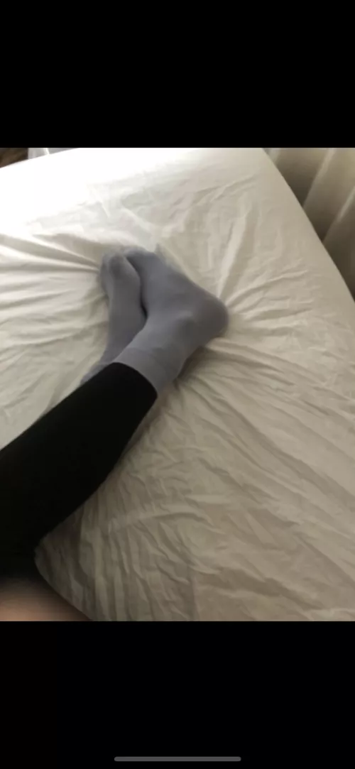 sockies