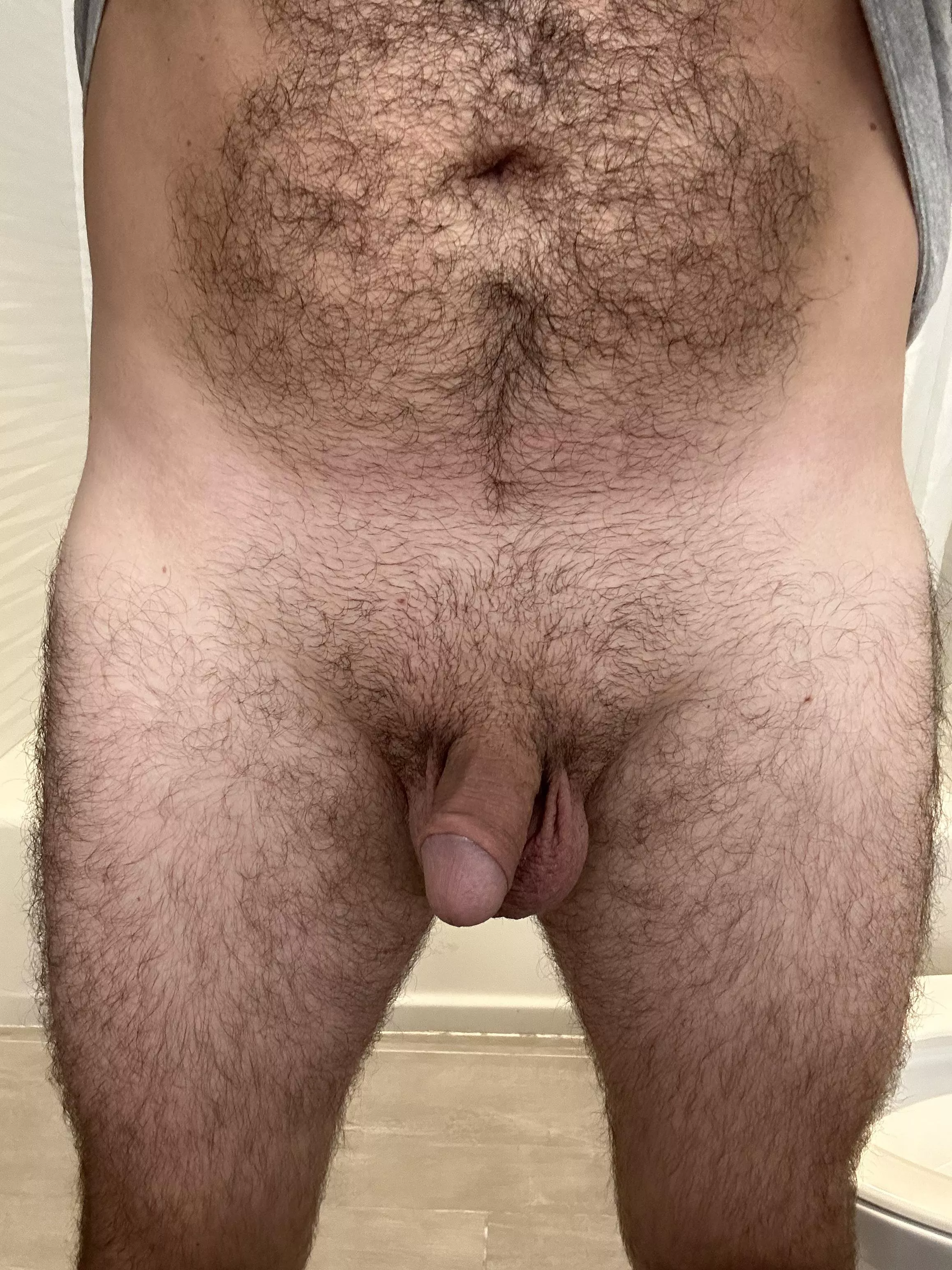 Softie on a snowy morning.