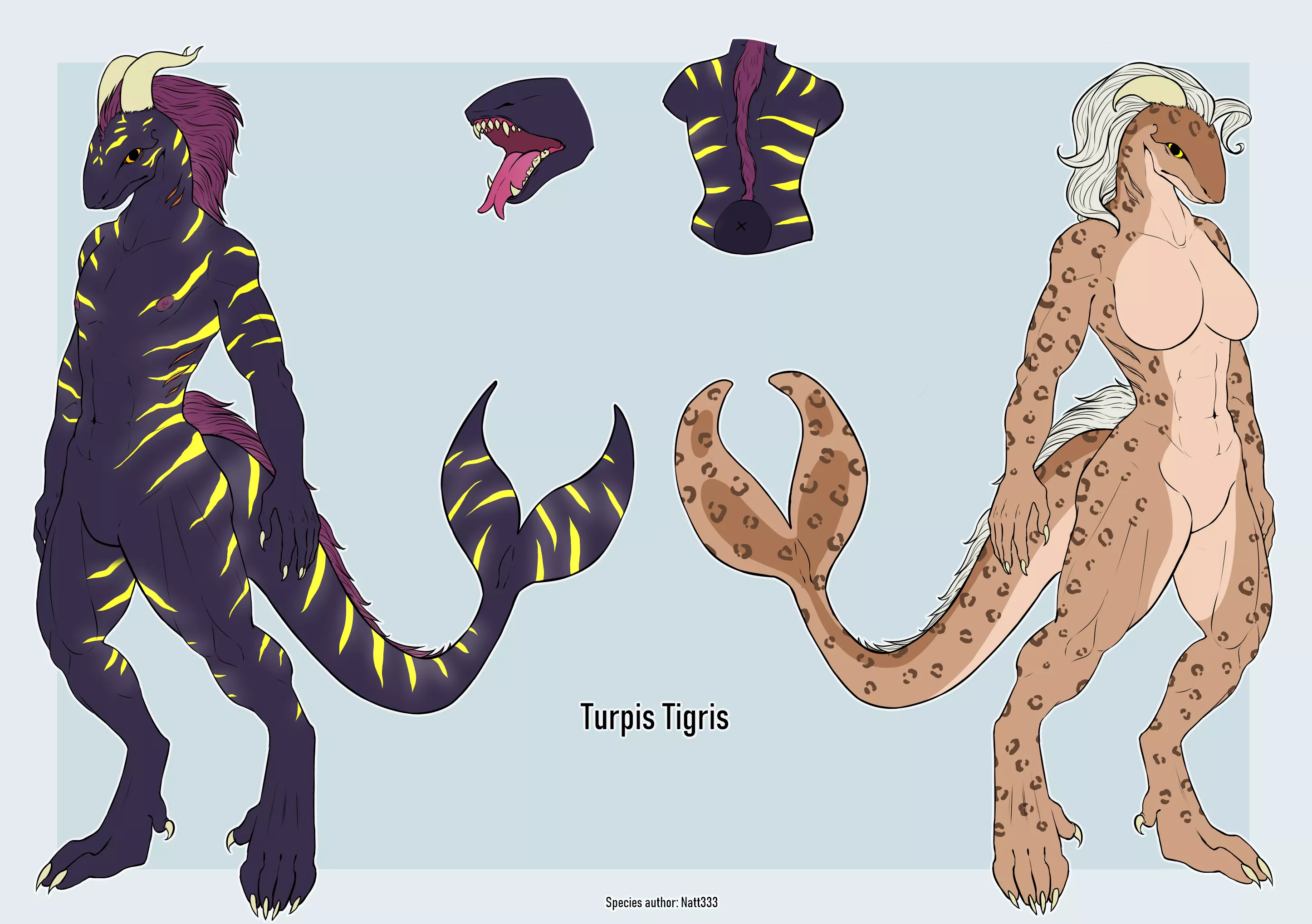 Turpis Tigris - My own original species [Semi-Open]