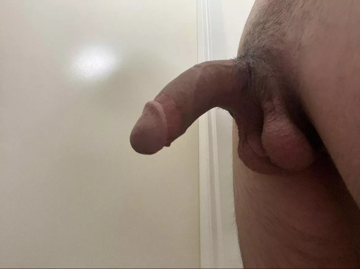 What do you think? Dms are open!