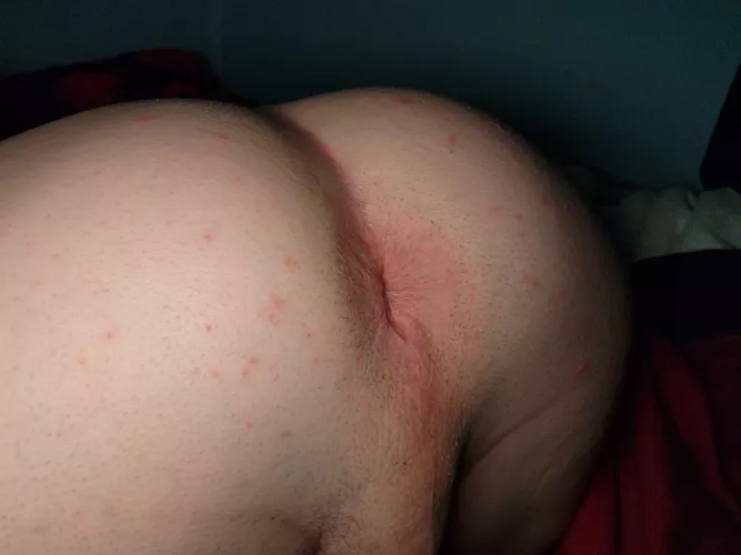 Who ordered bussy for Christmas?