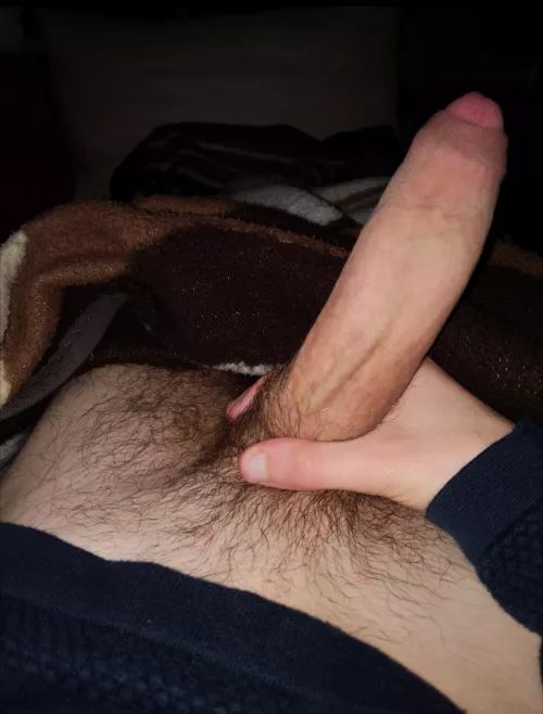 who wants my 18 year old horse cock?