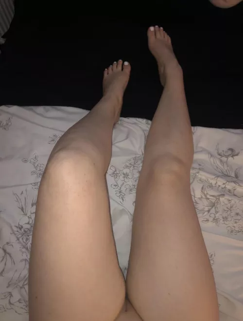 Would you climb up my legs??