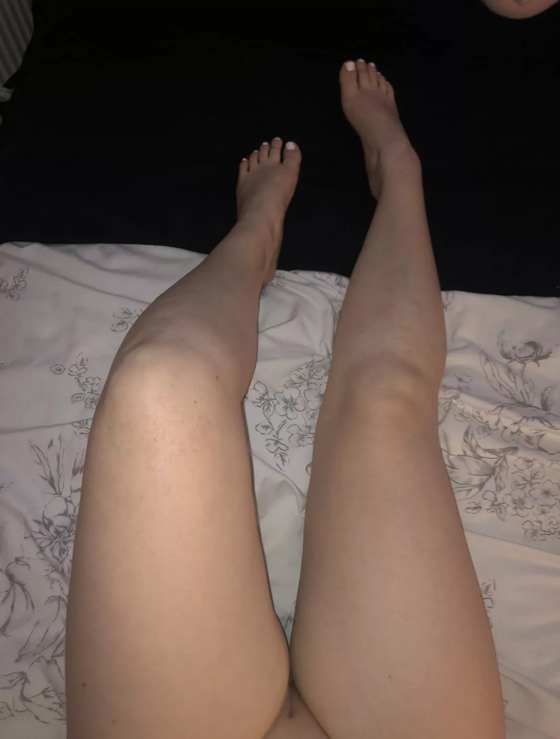 Would you climb up my legs??