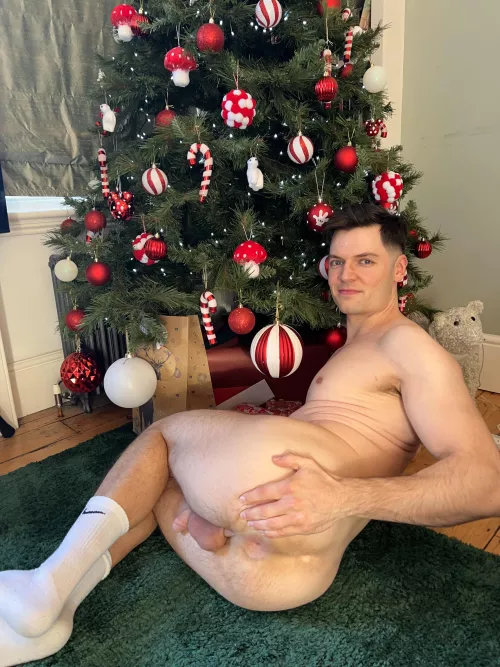 Your present is waiting under the Christmas tree…