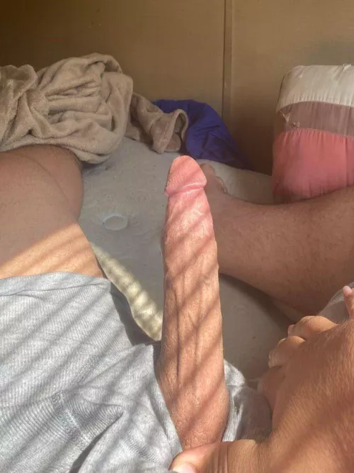 18m show me your asshole first sc: t.rowe231