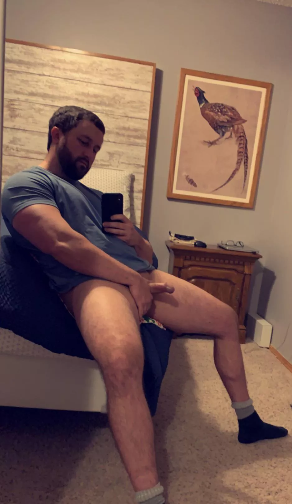 (37) let the festivities begin